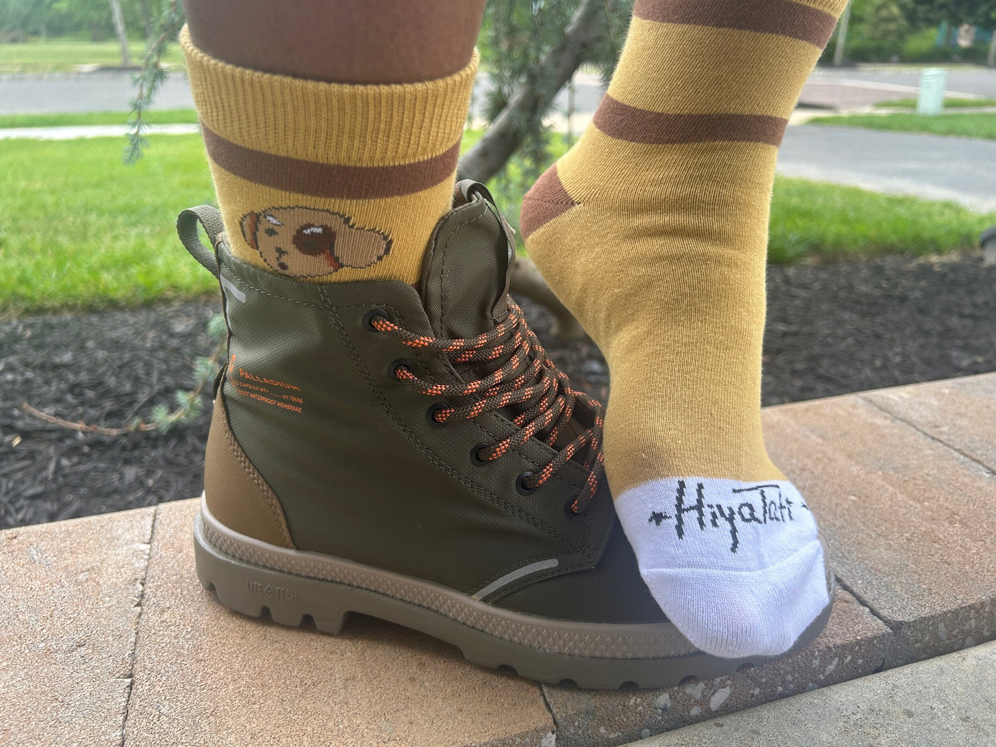 Bones Socks